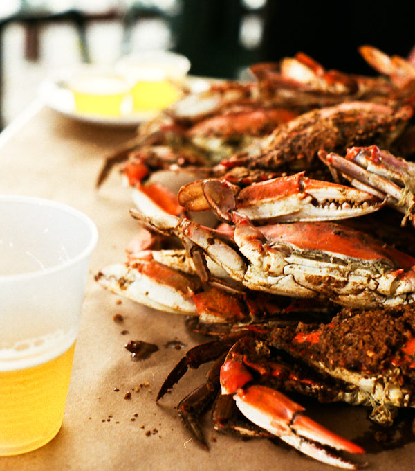 Don’t Bother Us, We’re Crabby!