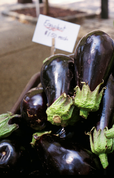 It’s Farmer’s Market Time Again!