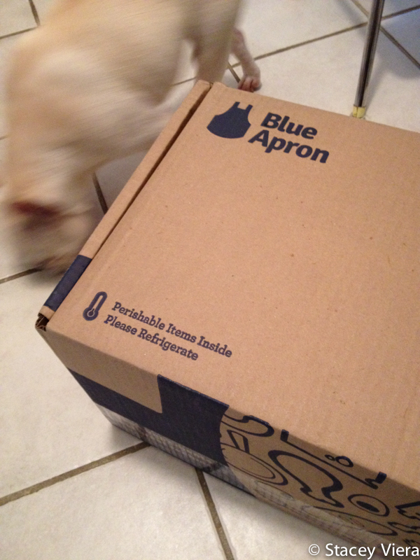 Ready-to-Cook Meals Delivered to Your Door! A Review of the Blue Apron Meal Delivery Service.
